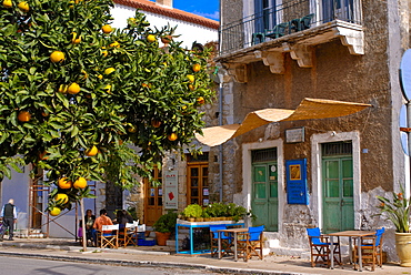 Orange tree in a little village in the Lakonian Mani, Peloponnese, Greece, Europe