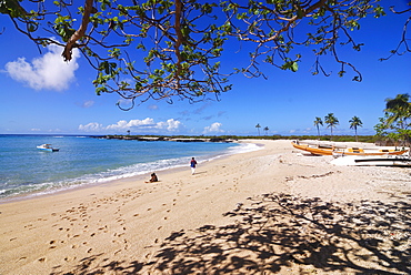 Beautiful sandy beach and palms at Ngazidja, Grand Comore, Comoros, Indian Ocean, Africa