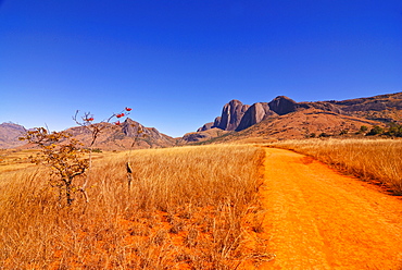 Road leading to granite rocks in the Andringitra National Park, Madagascar, Africa