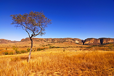 Isalo National Park, Madagascar, Africa