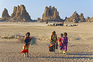 Local Afar children with their sheep, Lac Abbe (Lake Abhe Bad) with its chimneys, Republic of Djibouti, Africa