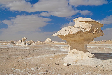 Wind-eroded sculptures of calcium rich rock, The White Desert near Bahariya, Egypt, North Africa, Africa