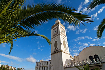 Djamaa El Djedid (Mosque of the Fisherman) on Place Port Said, Algiers, Algeria, North Africa, Africa