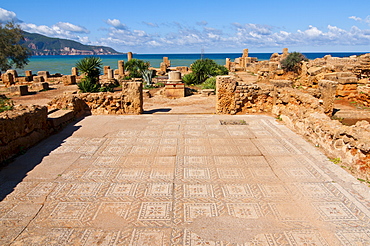 Mosaics at the Roman ruins of Tipasa, UNESCO World Heritage Site, on the Algerian coast, Algeria, North Africa, Africa