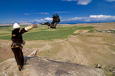 Man with his goshawk, Kyrgyzstan, Central Asia, Asia