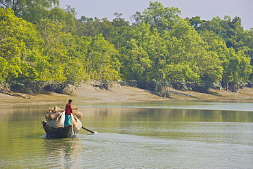 Little rowing boat in the swampy areas of the Sundarbans, UNESCO World Heritage Site, Bangladesh, Asia