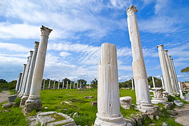 The Roman ruins of Salamis, Turkish part of Cyprus, Europe