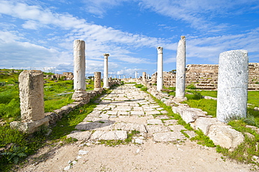 Roman ruins of Salamis, Turkish part of Cyprus, Cyprus, Europe