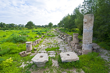 The Roman ruins of Salamis, Turkish part of Cyprus, Europe