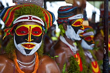 Colourfully dressed and face painted local tribes celebrating the traditional Sing Sing in the Highlands of Papua New Guinea, Pacific