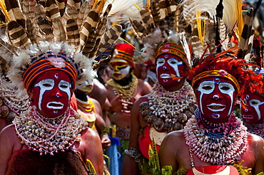 Colourfully dressed and face painted local tribes celebrating the traditional Sing Sing in the Highlands, Papua New Guinea, Pacific