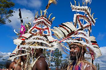 Colourfully dressed and face painted local tribes celebrating the traditional Sing Sing in the Highlands of Papua New Guinea, Pacific