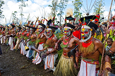 Colourfully dressed and face painted local tribes celebrating the traditional Sing Sing in the Highlands of Papua New Guinea, Pacific