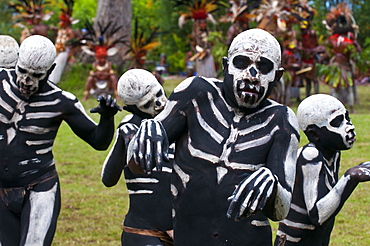 Face and body painted local tribes celebrating the traditional Sing Sing in Paya, Papua New Guinea, Melanesia, Pacific