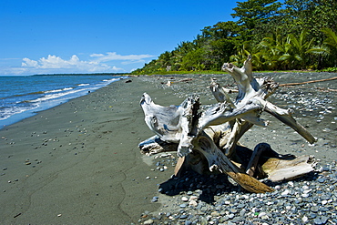 Beach at Savo Island, Savo, Solomon Islands, Pacific