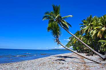 Beach on Savo Island, Savo, Solomon Islands, Pacific