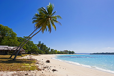 White sand beach in Port Orly, Island of Espiritu Santo, Vanuatu, South Pacific, Pacific