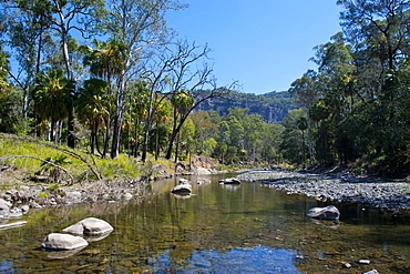 River flowing through the Carnarvon Gorge, Queensland, Australia, Pacific