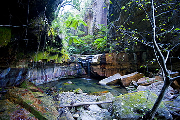 Little pond in a rock crack, Carnarvon Gorge, Queensland, Australia, Pacific