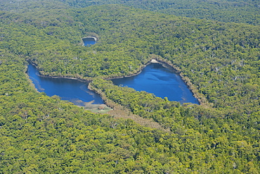 Aerial of the Butterfly Lakes, Fraser Island, UNESCO World Heritage Site, Queensland, Australia, Pacific