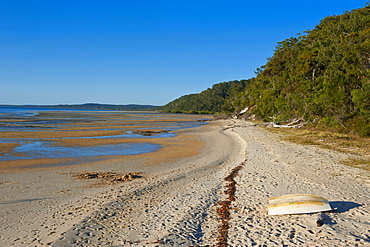 Lonely beach on Fraser Island, UNESCO World Heritage Site, Queensland, Australia, Pacific