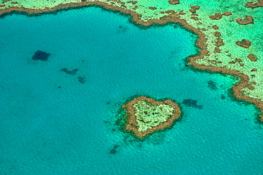 Aerial of the Great Barrier Reef, UNESCO World Heritage Site, Queensland, Australia, Pacific