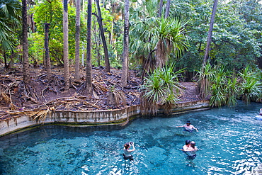 Mataranka thermal pool in the outback of the Northern Territory,  Australia, Pacific