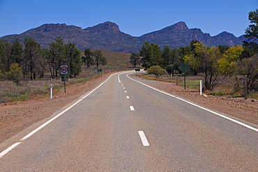 Road leading in the Flinders Range National Park, South Australia, Australia, Pacific