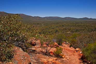 Flinders Ranges National Park, South Australia, Australia, Pacific