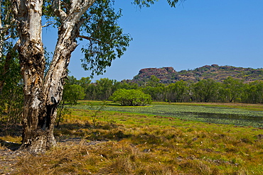 Kakadu National Park, UNESCO World Heritage Site, Northern Territory, Australia, Pacific