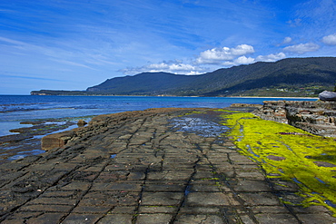 Tessellated Pavement, Tasman Peninsula, Tasmania, Australia, Pacific 