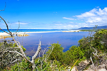 Lonely Beach on the East Coast of Tasmania, Australia, Pacific 