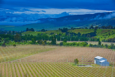 Little house in a agricultural field in Western Tasmania, Australia, Pacific 