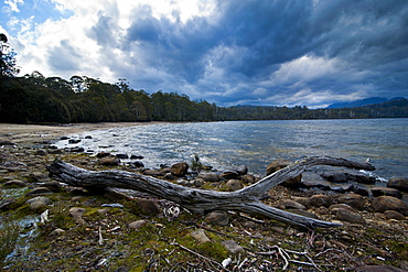 Lake St. Claire, Tasmania, Australia, Pacific 