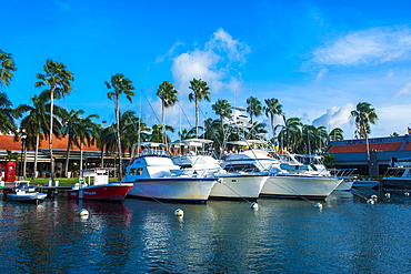 Yacht harbour in downtown Oranjestad, capital of Aruba, ABC Islands, Netherlands Antilles, Caribbean, Central America