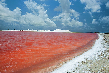 Saline a salt mine in Bonaire, ABC Islands, Netherlands Antilles, Caribbean, Central America