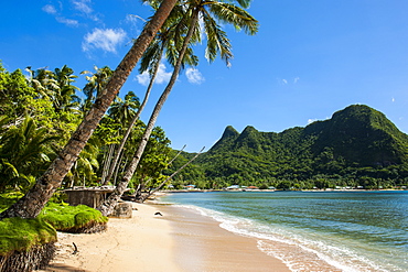 National Park of American Samoa, Tutuila Island, American Samoa, South Pacific, Pacific