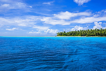 Little islet in the Ant Atoll, Pohnpei, Micronesia, Pacific