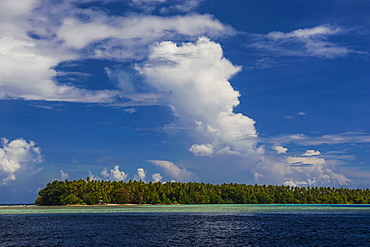 Little islet in the Ant Atoll, Pohnpei, Micronesia, Pacific