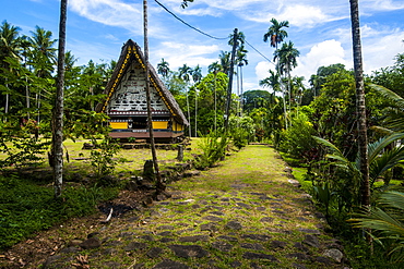 Oldest Bai of Palau, a house for the village chiefs, Island of Babeldoab, Palau, Central Pacific, Pacific