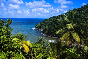 Pagua Bay in Dominica, West Indies, Caribbean, Central America 