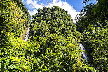 Trafalgar Falls, Morne Trois Pitons National Park, UNESCO World Heritage Site, Dominica, West Indies, Caribbean, Central America 