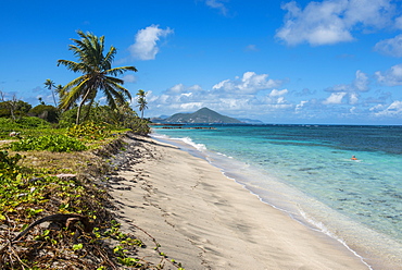 Beach at Long Haul Bay, Nevis Island, St. Kitts and Nevis, Leeward Islands, West Indies, Caribbean, Central America 