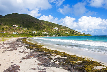 Turtle Beach, St. Kitts, St. Kitts and Nevis, Leeward Islands, West Indies, Caribbean, Central America 