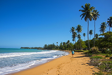 Luquillo Beach, Puerto Rico, West Indies, Caribbean, Central America 