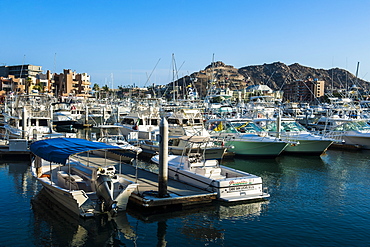 The harbour of Los Cabos, Baja California, Mexico, North America