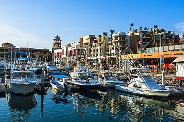 The harbour of Los Cabos, Baja California, Mexico, North America