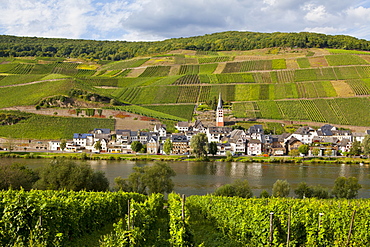 Moselle River, Germany, Europe 