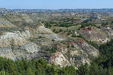 Roosevelt National Park, North Dakota, United States of America, North America 