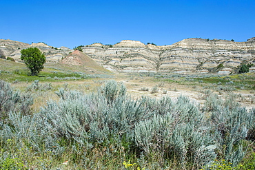 The northern part of the Roosevelt National Park, North Dakota, United States of America, North America 